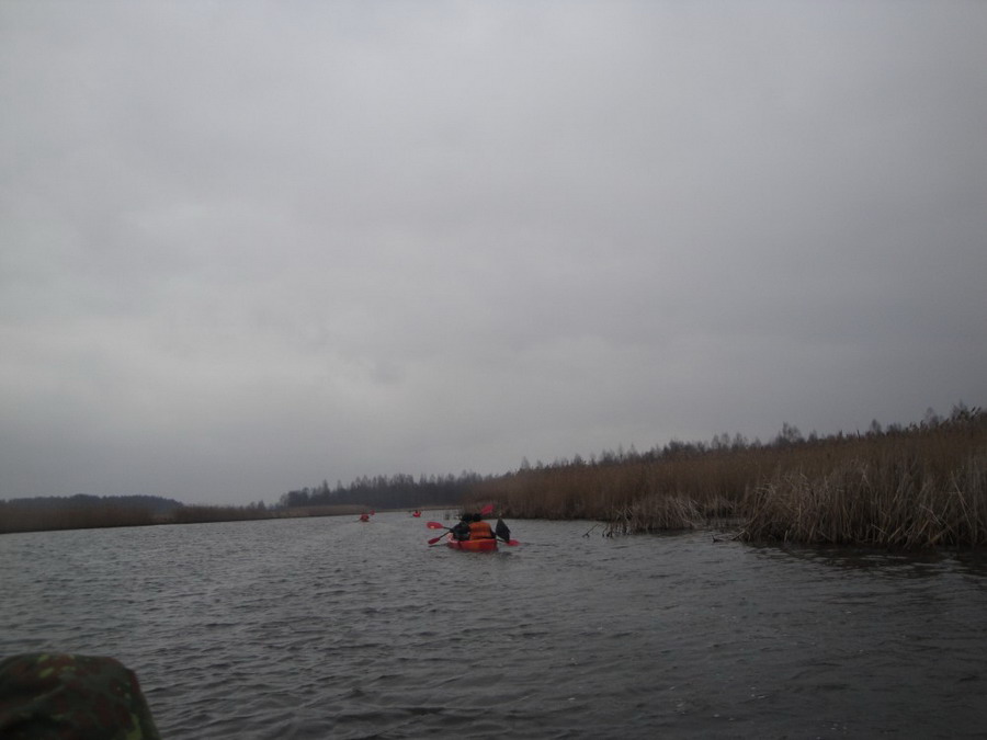 b2ap3_thumbnail_DSC00131.JPG