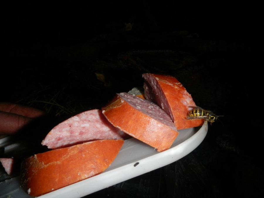 b2ap3_thumbnail_DSCN5791.JPG
