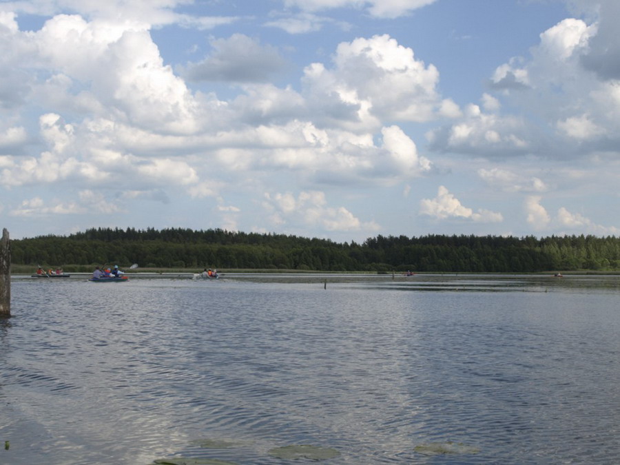 b2ap3_thumbnail_P6199510.jpg