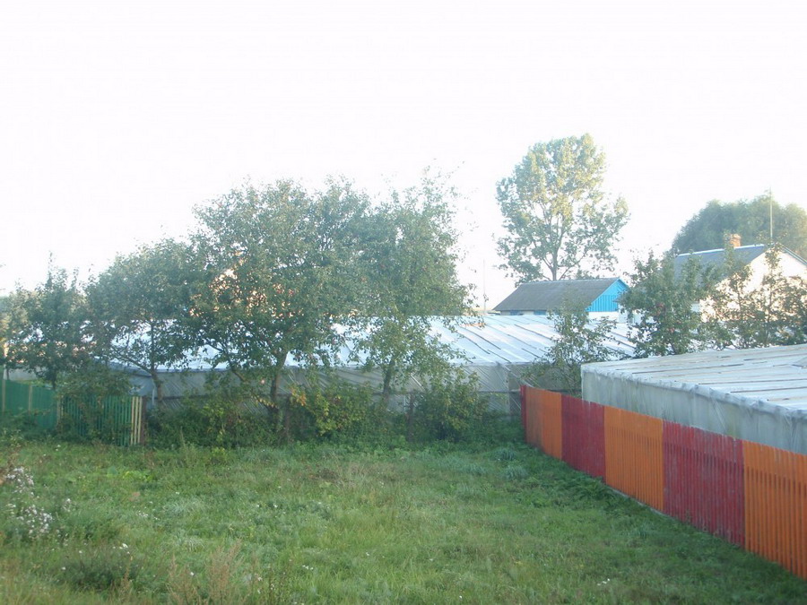 b2ap3_thumbnail_P9030230.JPG