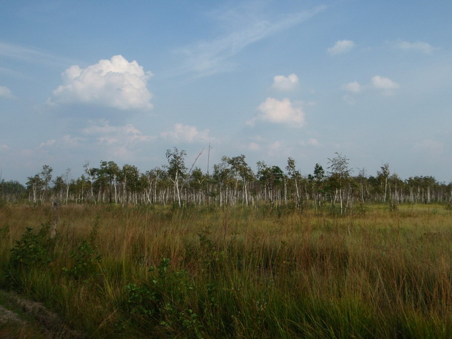 b2ap3_thumbnail_P9040477.JPG