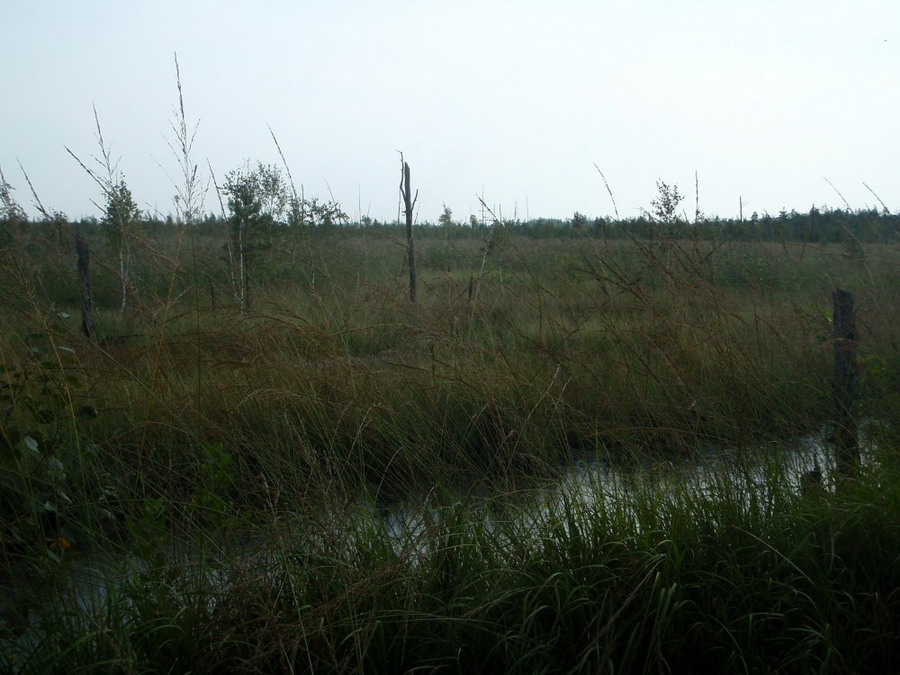 b2ap3_thumbnail_P9040484.JPG