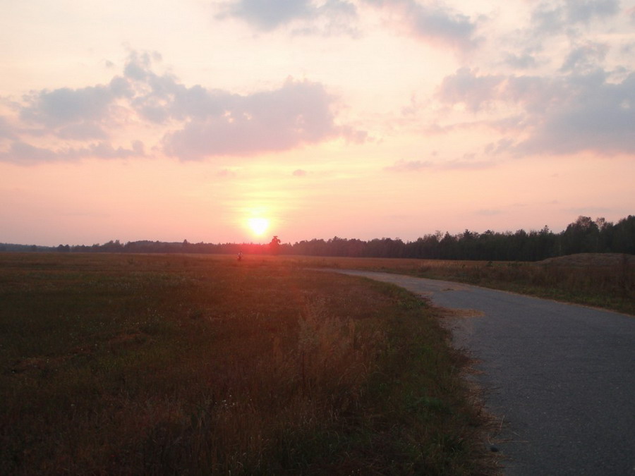 b2ap3_thumbnail_P9040529.JPG