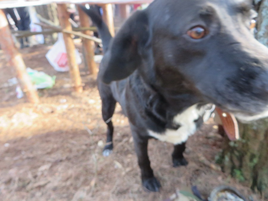 b2ap3_thumbnail_IMG_1718.JPG