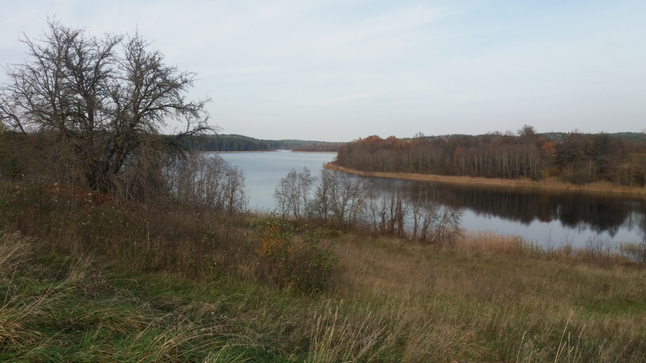 20191019_134644