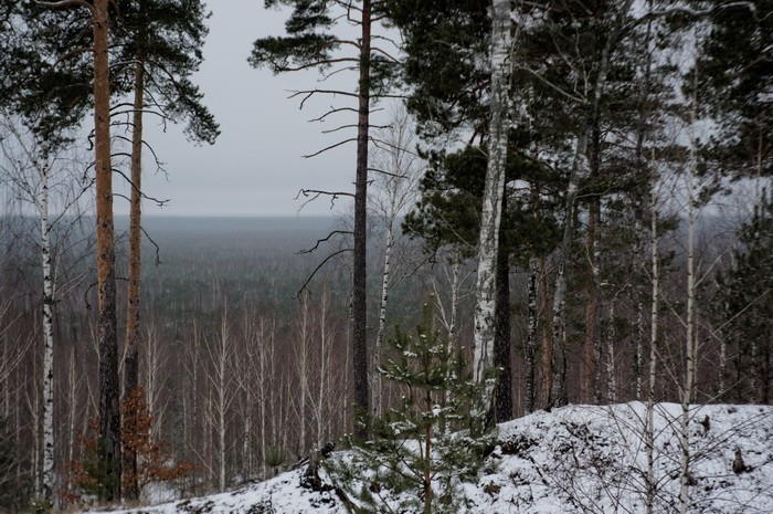 b2ap3_thumbnail_Sainov-17.jpg