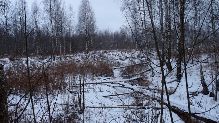 b2ap3_thumbnail_Sainov-30.JPG