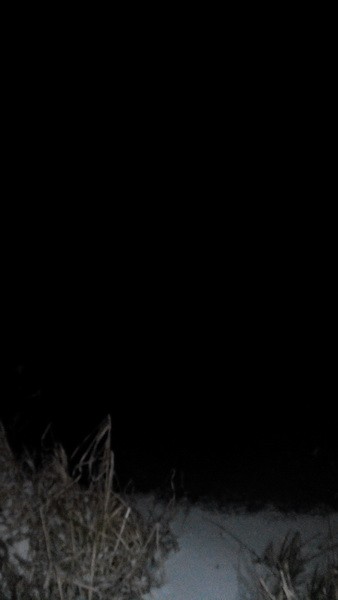 b2ap3_thumbnail_razvedko_14.jpg