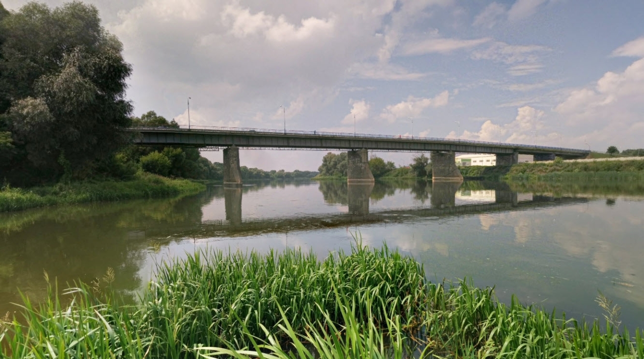 2022-10-09_14-09-07.jpg