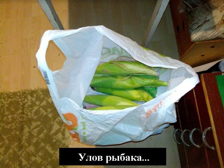 Ulov.JPG