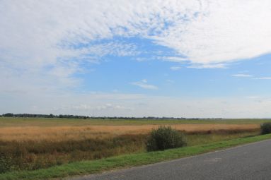 IMG_4885
