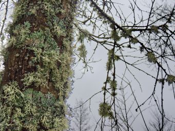 DSCN4727