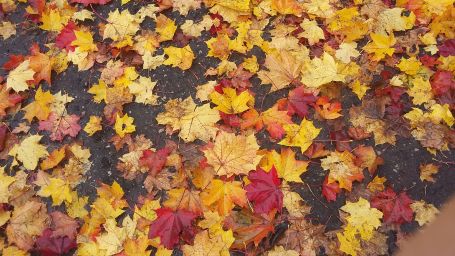 20171014_140454.jpg
