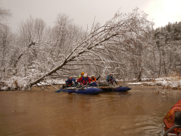 DSCN3082.JPG