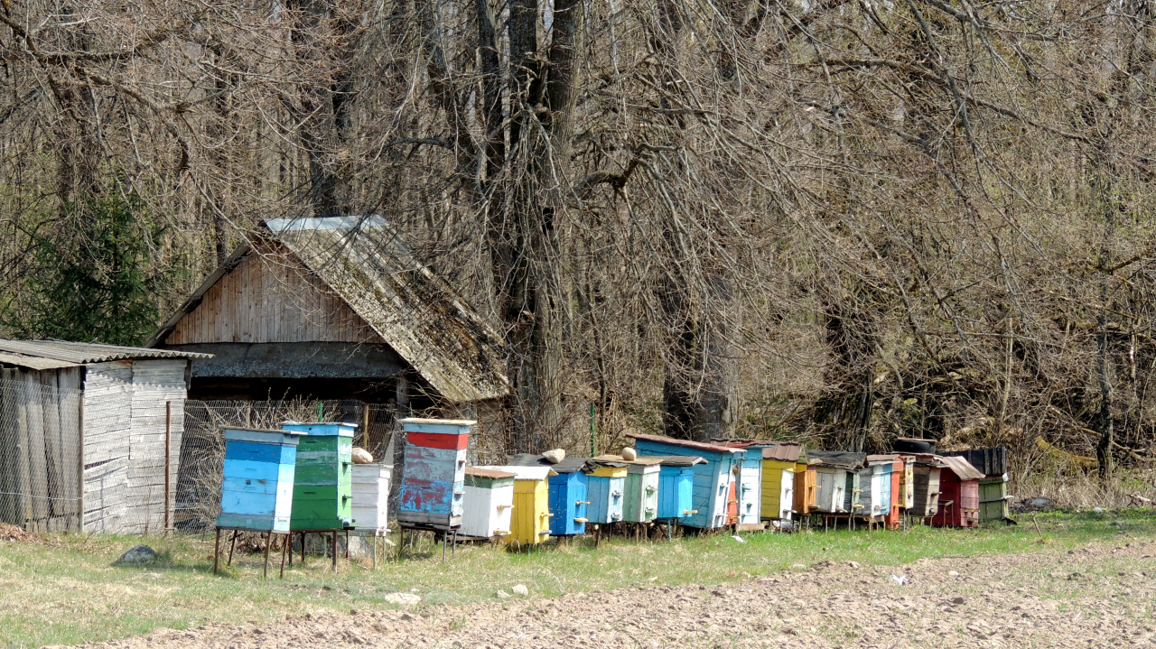 20-21.04.2019 22.04.2019