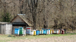 20-21.04.2019 22.04.2019