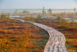 03_elnya_12062019_malishic_tutby_phsl.jpg
