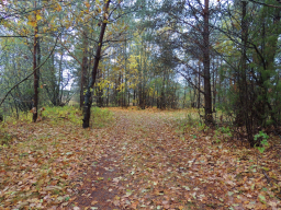 DSCN8669.JPG